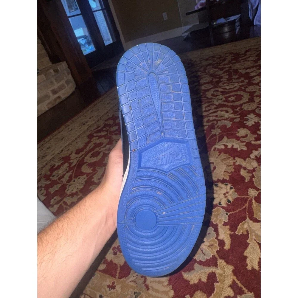 Jordan nike sb